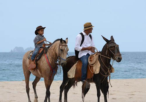 Guanacaste Horseback Riding